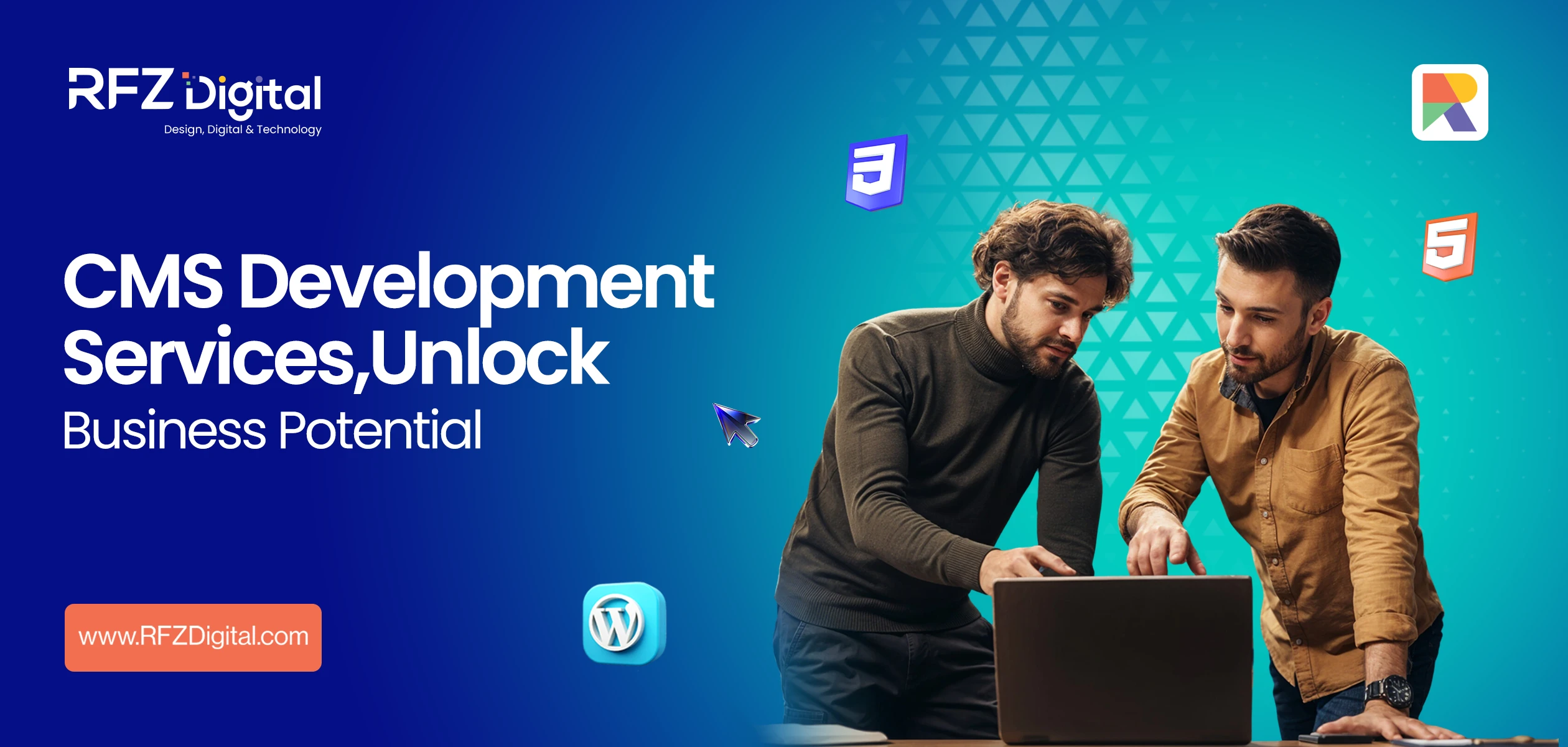 CMS Development Services