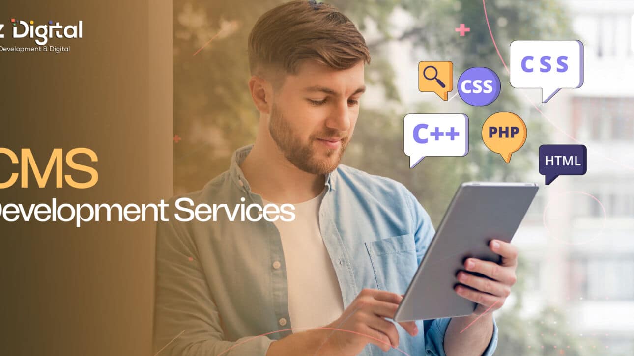 CMS Development Services